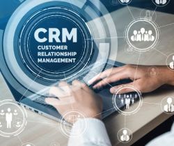 Das CRM - das Salesforce - das Hubspot