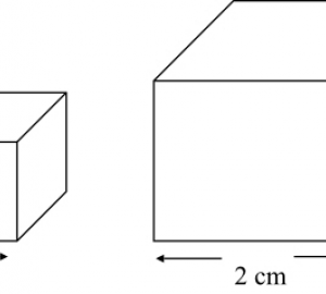 Introdution au volume. L'utilisation du centimétre cube comme unité standard.