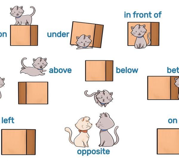 Prepositions