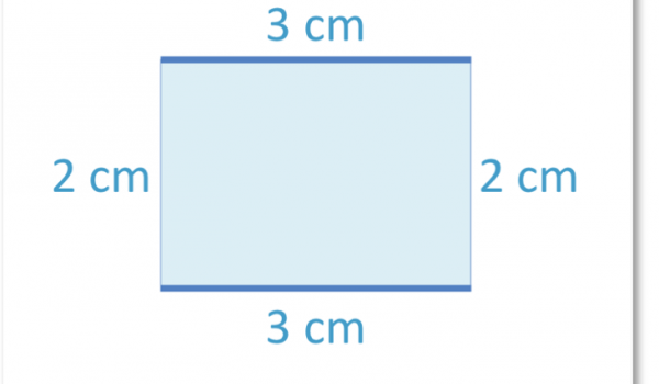 Utilisation de l'unité formelle du centimètre pour mesurer la longueur et le périmètre