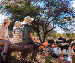 Actividades de vida silvestre en el turismo